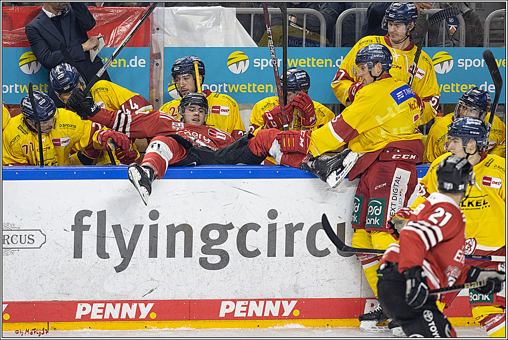 PENNY DEL;  Kölner Haie - Düsseldorfer EG; Köln, 16.12.2022